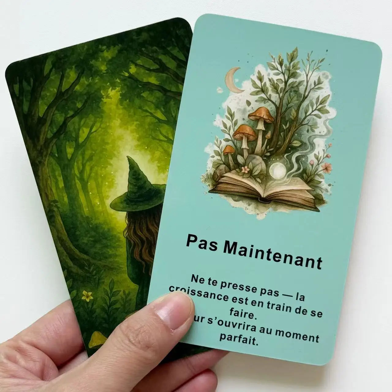 Oracle Le Message Mystérieux de la Nature Sauvage – en français