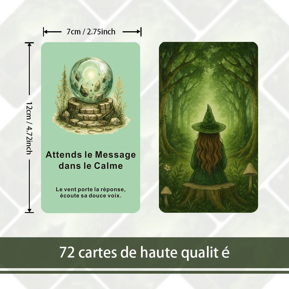 Oracle Le Message Mystérieux de la Nature Sauvage – en français